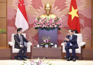 National Assembly Chairman receives Singaporean PM?width=190&height=-&type=resize