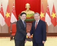 Party chief urges swift deployment of Vietnam-Singapore Comprehensive Strategic Partnership?width=190&height=-&type=resize