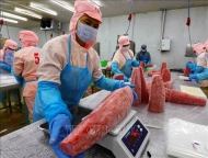 Vietnam’s tuna exports face new challenges?width=190&height=-&type=resize