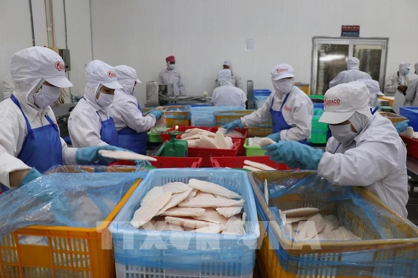 Vietnam’s fishery sector diversifies export markets and products amid global trade challenges