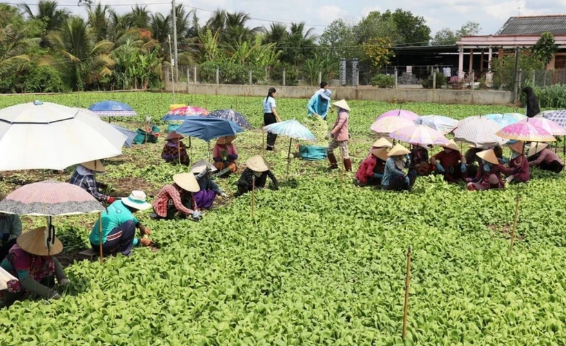 Nationwide rural, agricultural census to begin in July