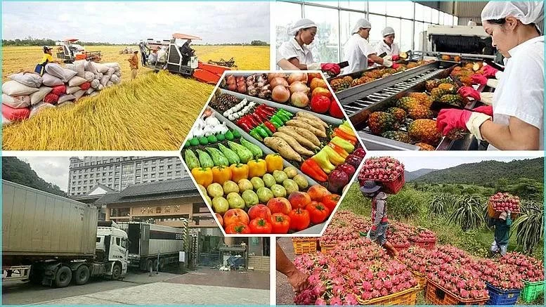 Agro-forestry-fishery export in five months top 28 billion USD