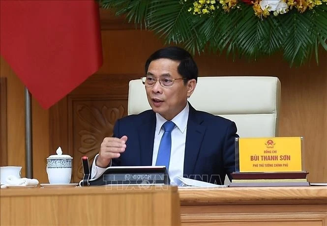 Deputy PM meets with global Vietnamese scientists, experts