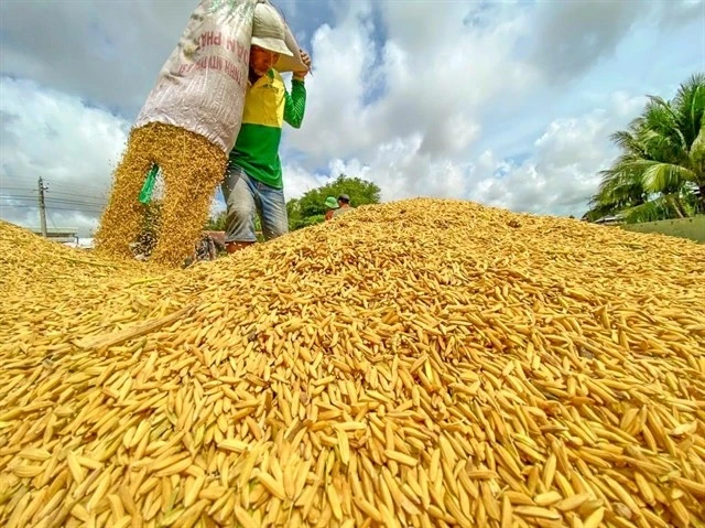 Vietnam to export first batch of low-emission rice